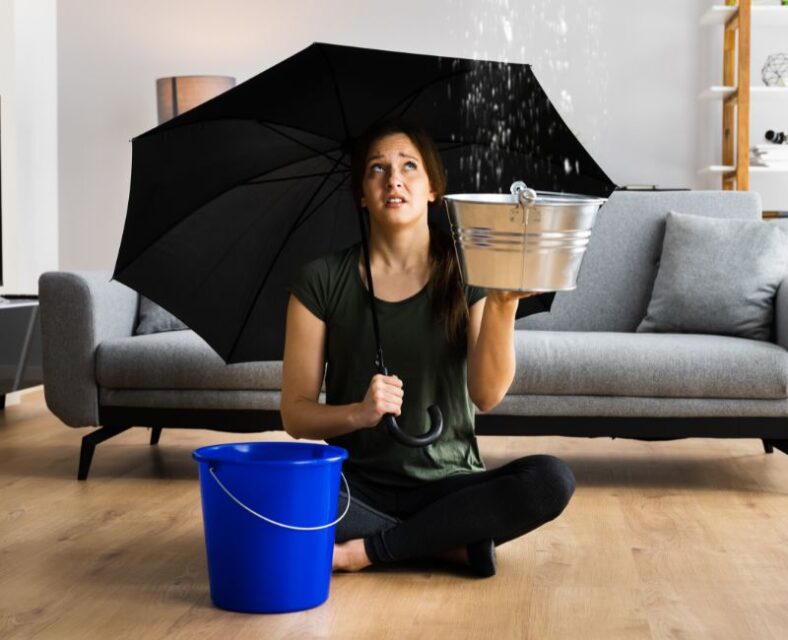 best How To Use Your Wet And Dry Vacuum Cleaner For Water Damage Restoration
