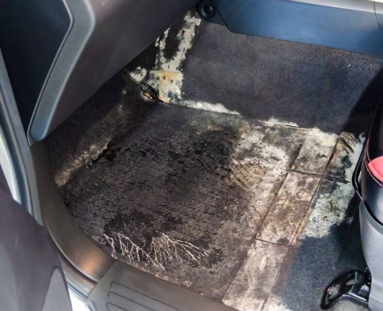 best way To Clean A Flooded Car Carpet